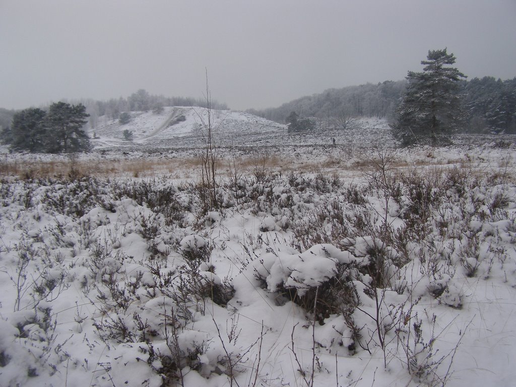 Winter MOOR Landscape by Tombstone 65