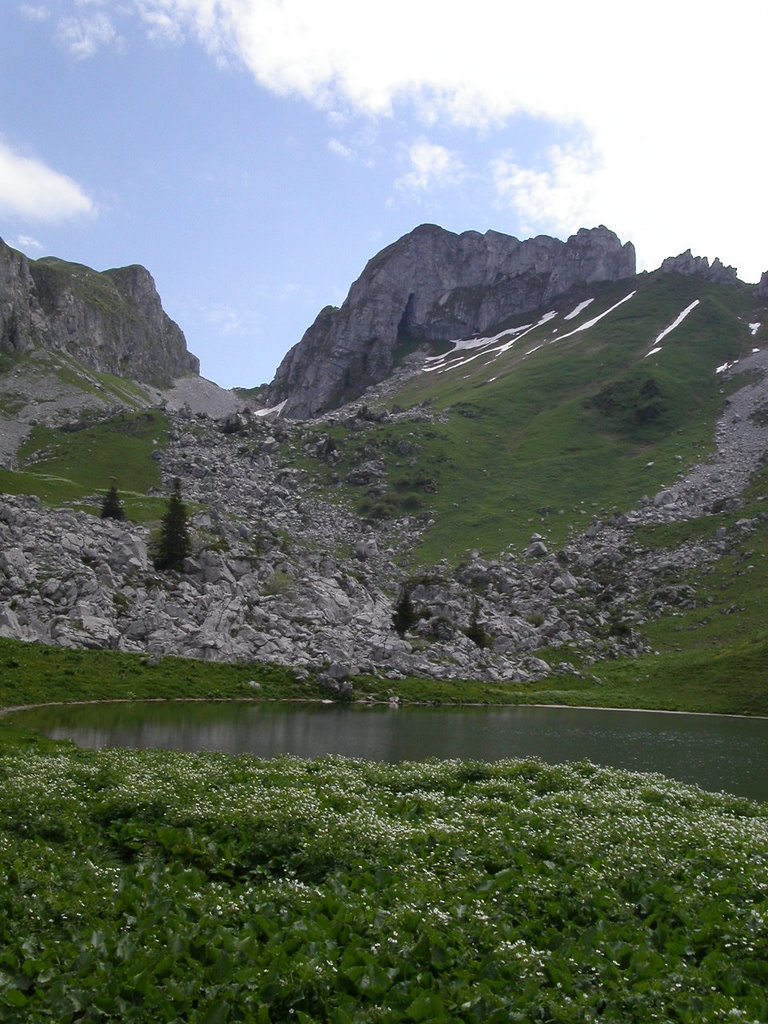 Lac de la Case (GR5) by lvellinga