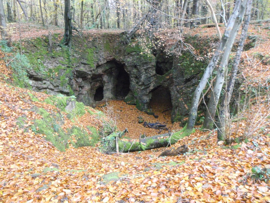 Caves at Caerphilly Woods by sassiecat