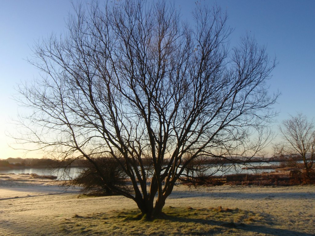 Penyfan Pond, Winter 08 by sassiecat