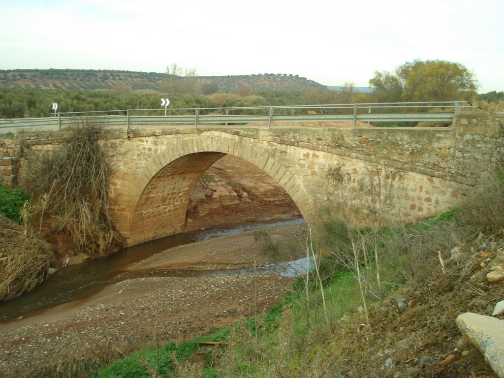 Puente sobre el río Guadiel en Guarromán by camport05