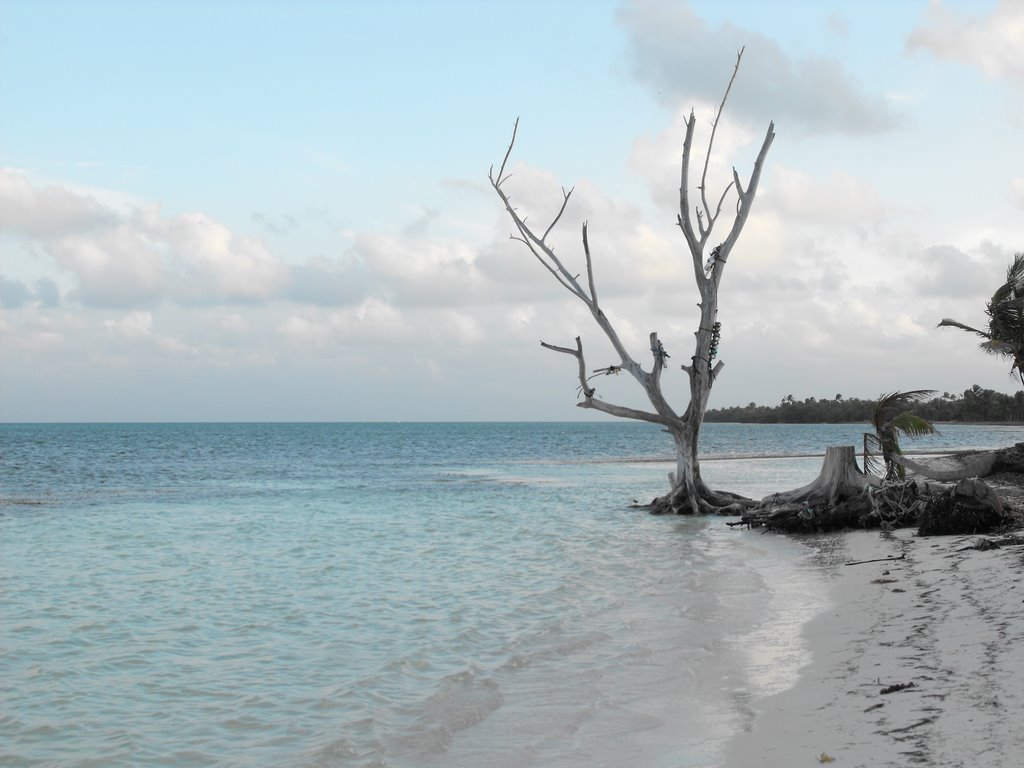 Punta Allen, Quintanna Roo, Mexico by leahmargaret