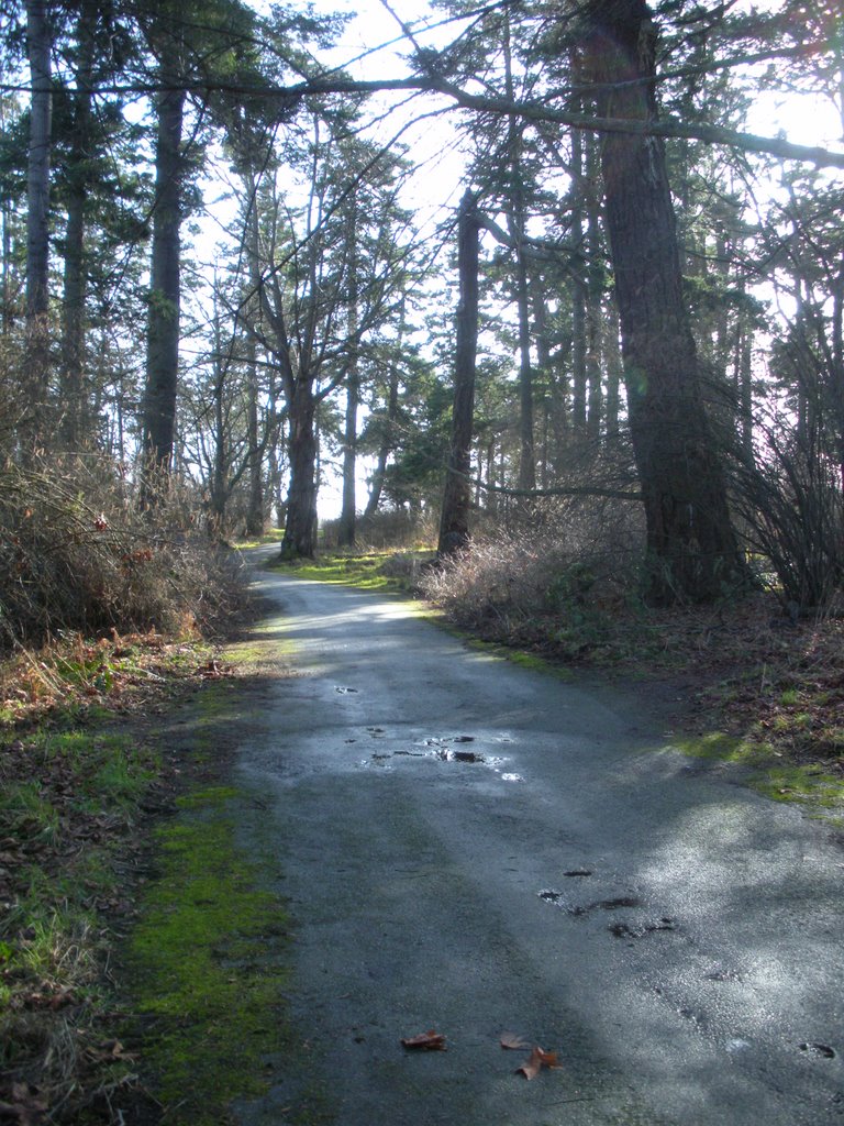 Beacon Hill Park , looking south-east by doug_wilson