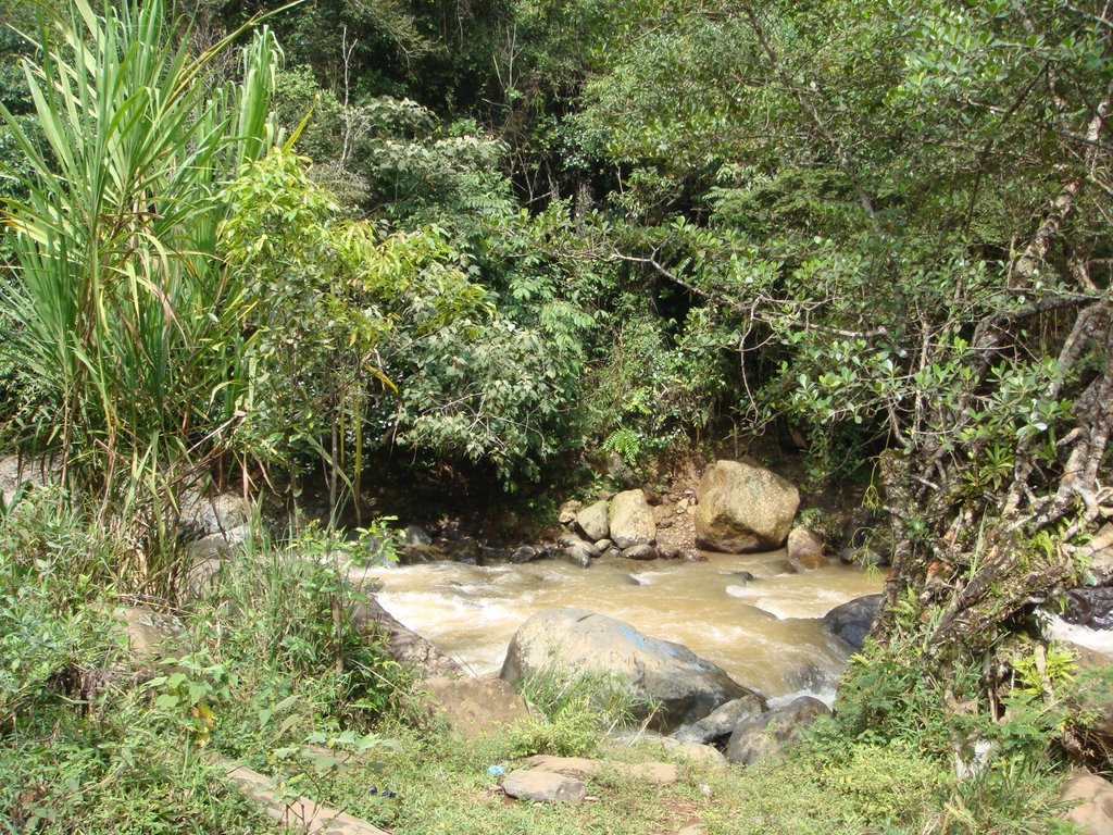 La Luisa, Cali, Valle del Cauca, Colombia by carlos alberto arang…