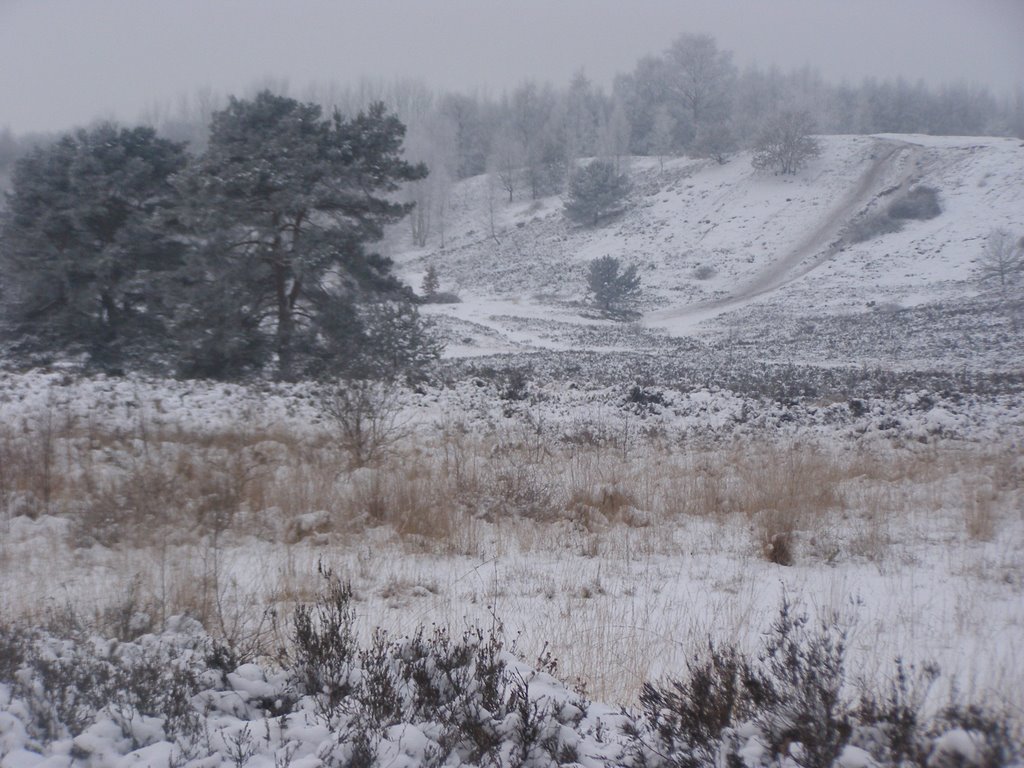 View too schrieversheide hills/sledge way by Tombstone 65