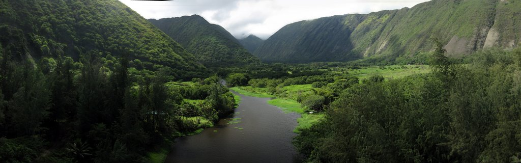 Waipi`o Valley from a kite by tbenedict