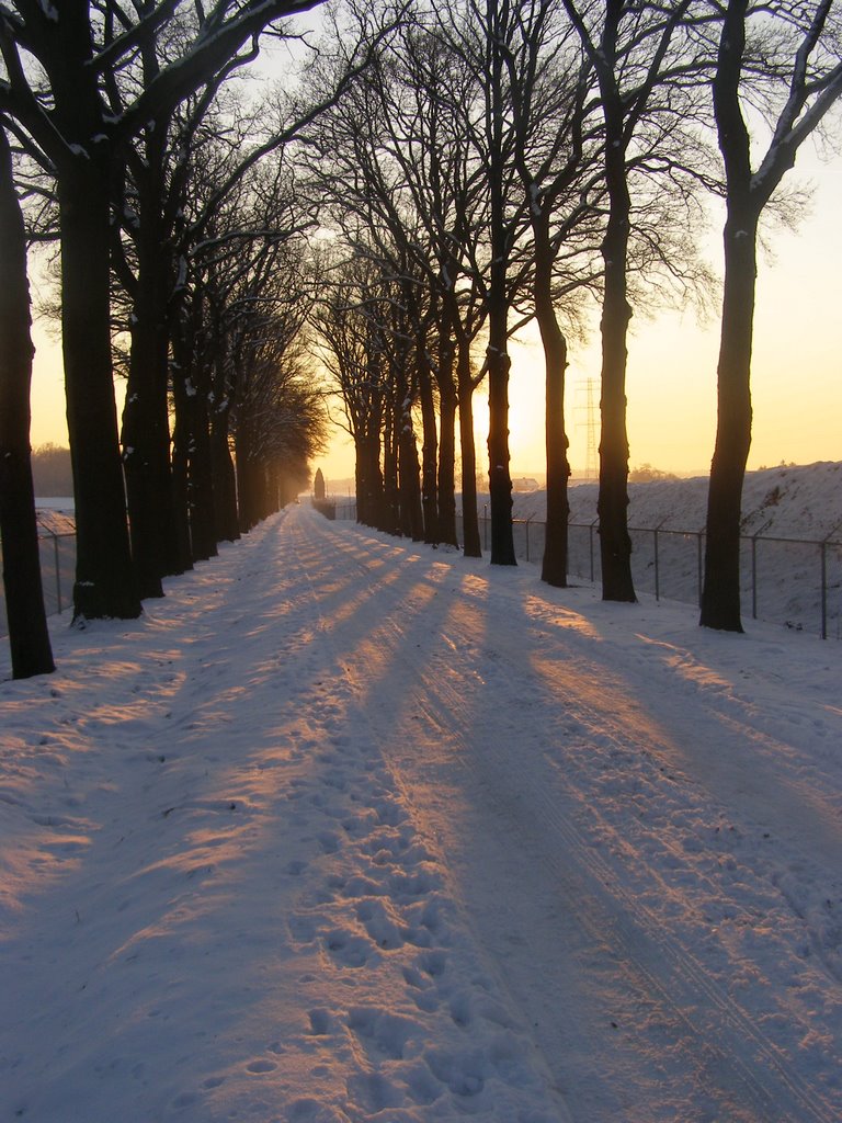 Beauty Winter Lane by Tombstone 65