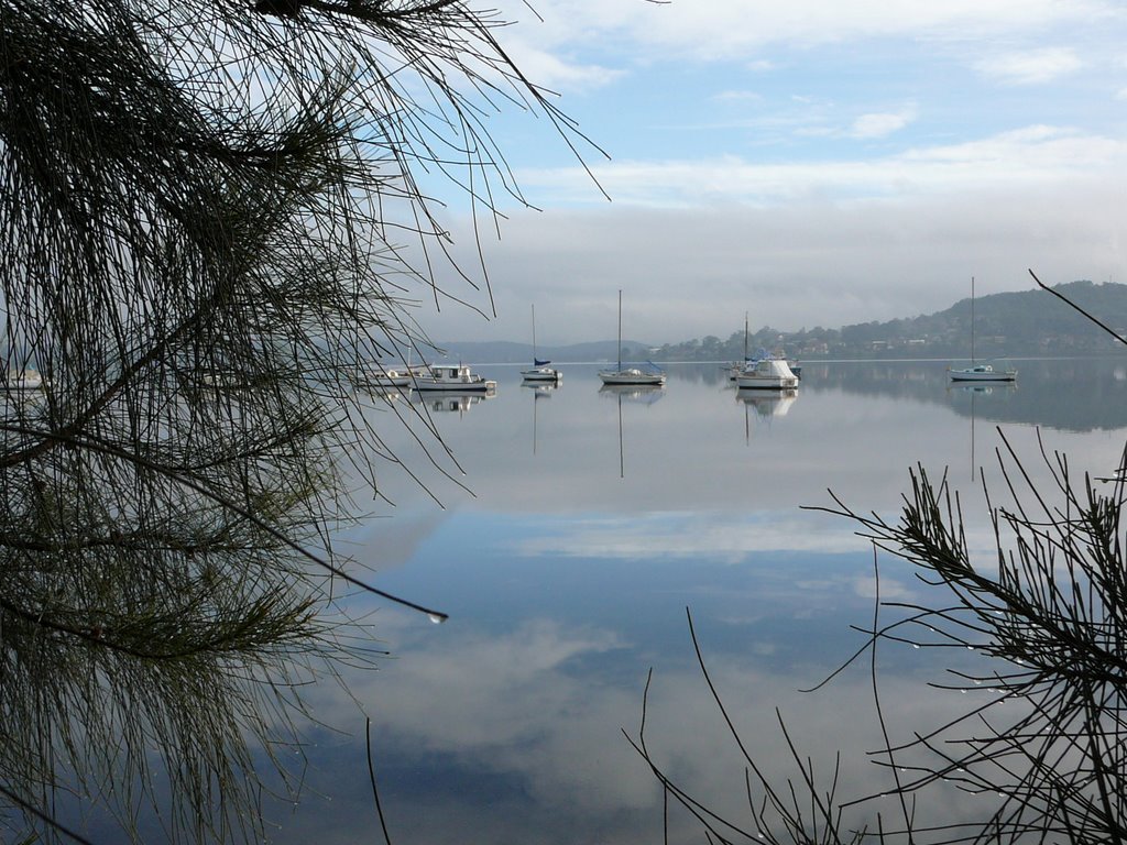 Misty morning, Warners Bay NSW Australia by Gerri Em