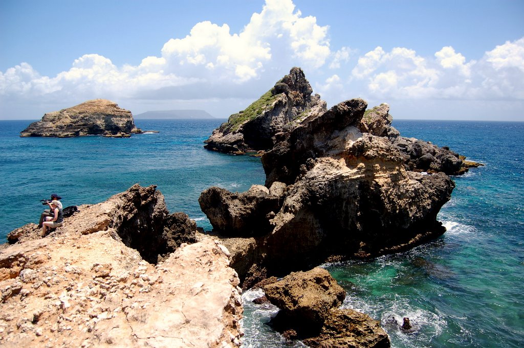 Guadeloupe Pointe des Chateaux by Claude Roussel-Dupré