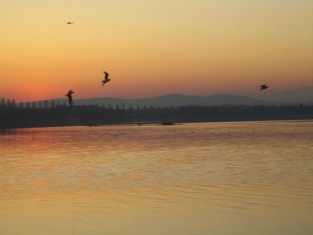 Tramonto sul Lago di Varese 29/01/2009 by Gabriele Bistoletti