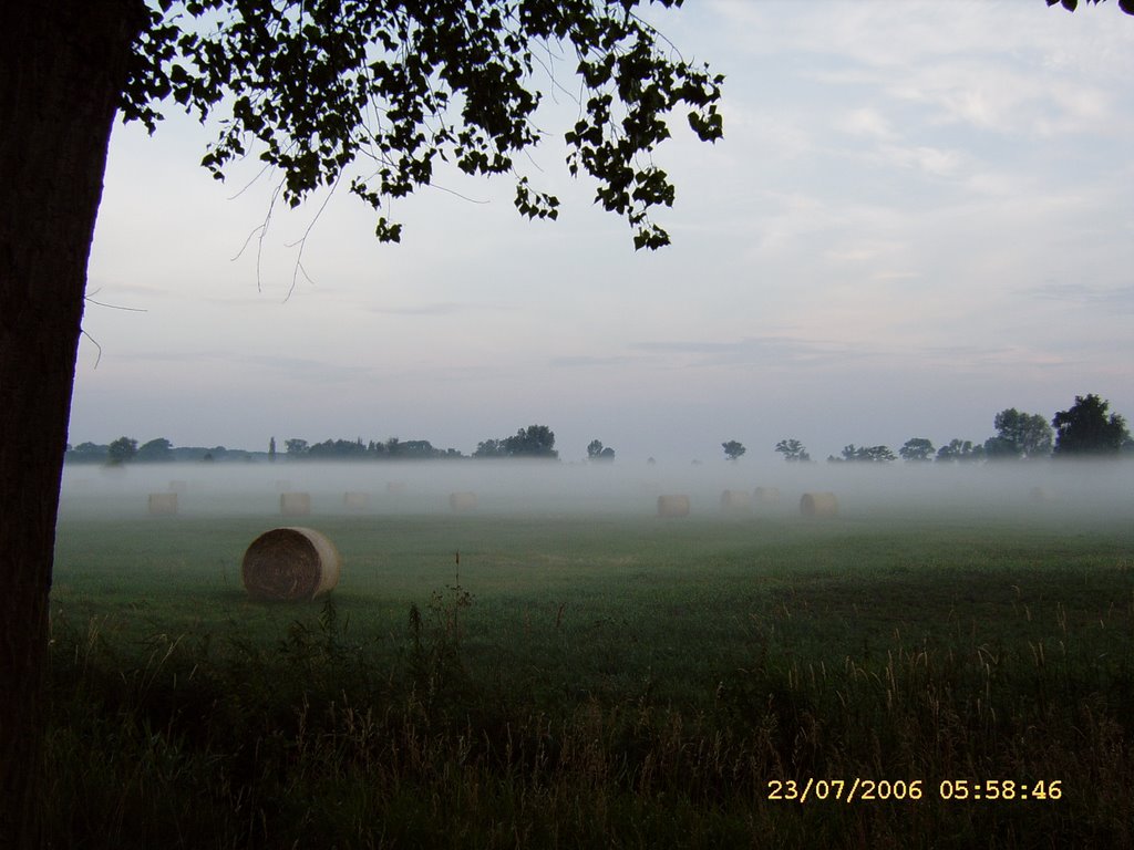 Am Strandweg by Klaus Heinrich