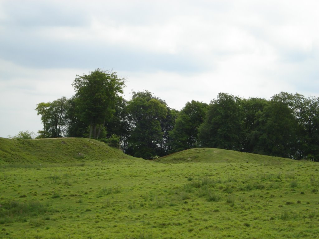 Danebury Hill Fort entrance by ian freeman