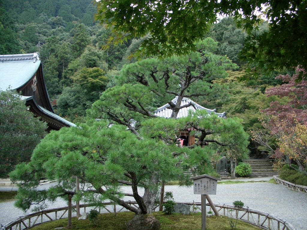 Nison-in-Temple　二尊院 by kyoto_van