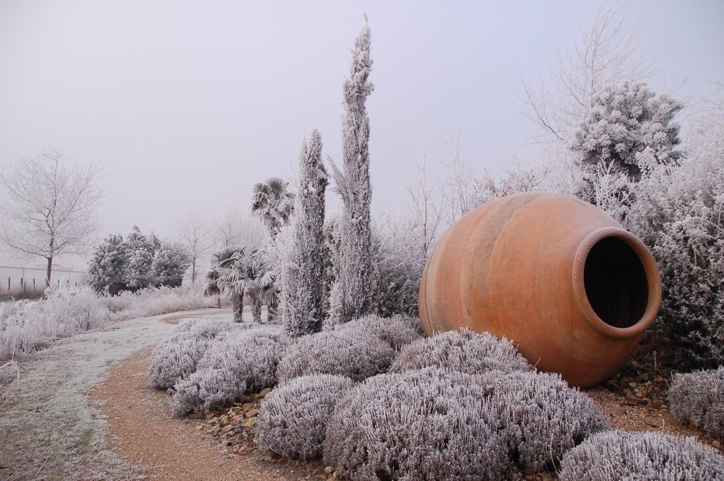 Winter in Subtropische tuin,Fort den Haak by Peter van der Weide