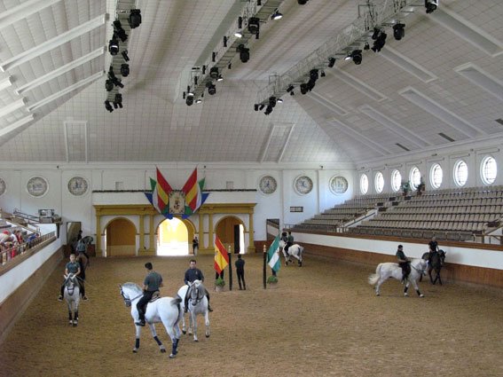 Royal Andalusian School of Equestrian Art by Jan sibon