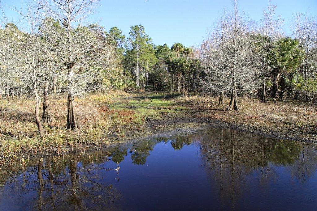 James Creek Area by Tom Choma