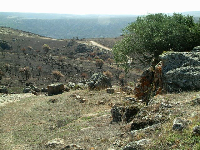 View from Goni graveyard by Gábor Ligeti