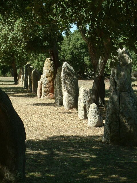 Stret of menhirs by Gábor Ligeti