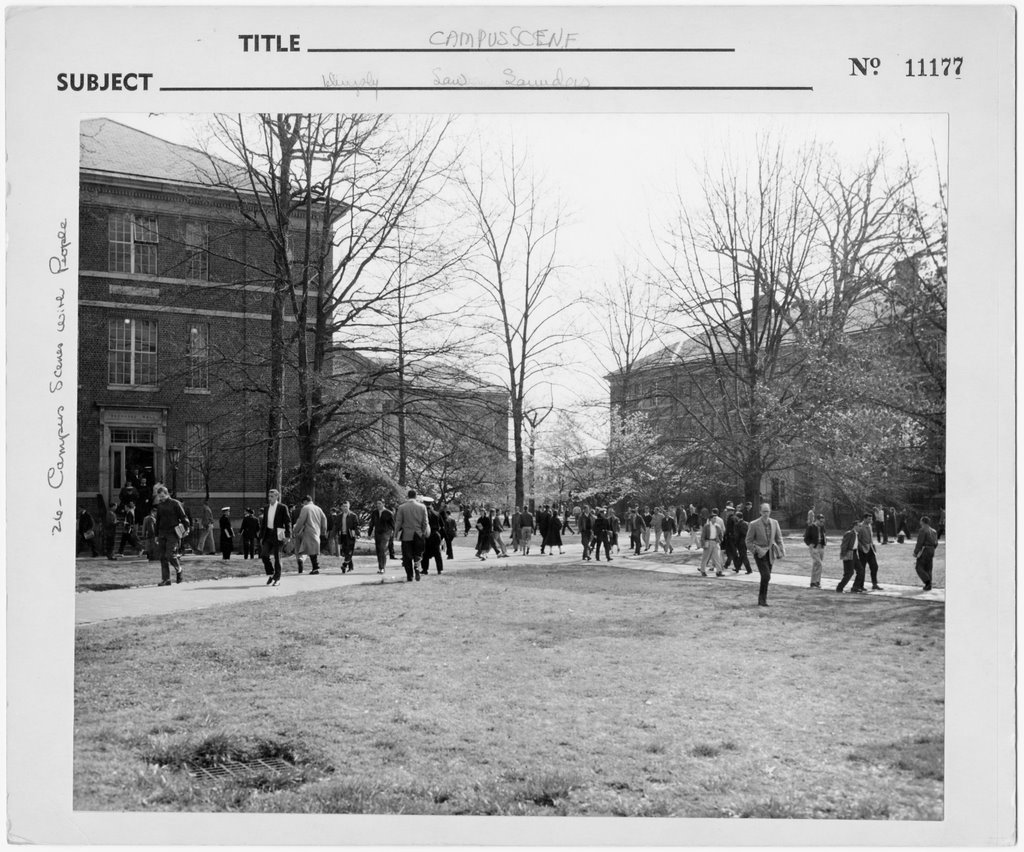 Murphey, Manning, and Saunders Halls, 1956 by UNC Library