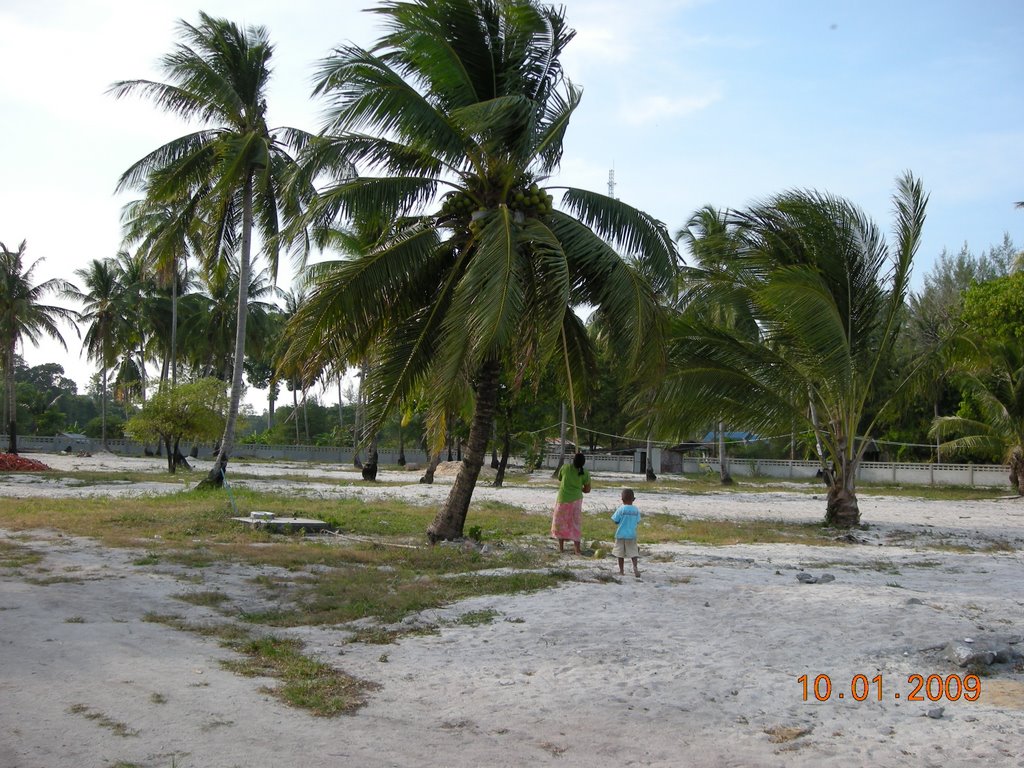 "Getting the coconut". Koh Lipe by Victor Gorbachev