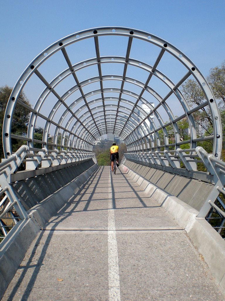 Puente de ciclopista sobre av. alencastre by DarioPerez