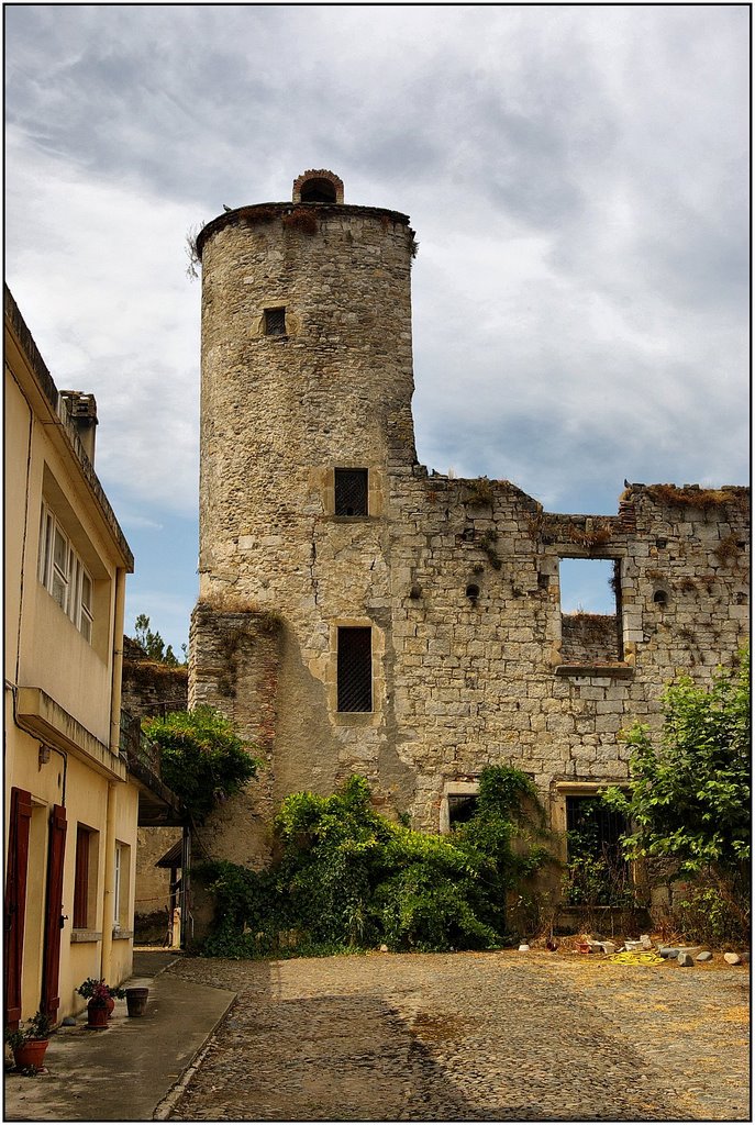 SAUVETERRE-DE-BEARN [64] - Pigeonnier de Coulomme construit vers 1640. (août 2008) by Michel Chanaud