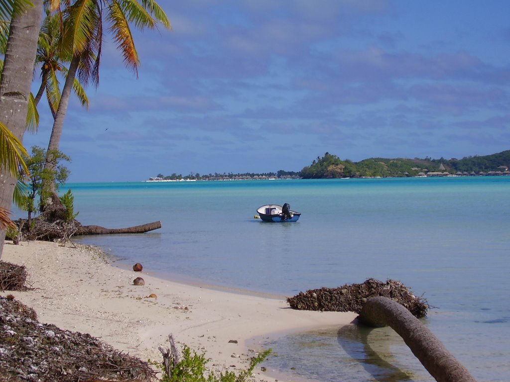 Lagoon (south-west view) by Daniele Miani