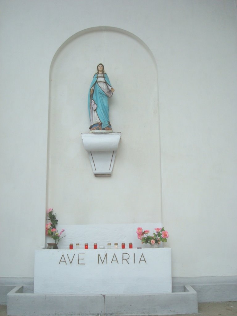 On January 29, 2009 the sculpture of Saint Mary near Saint Peter Catholic Church by Aurimas Nausėda