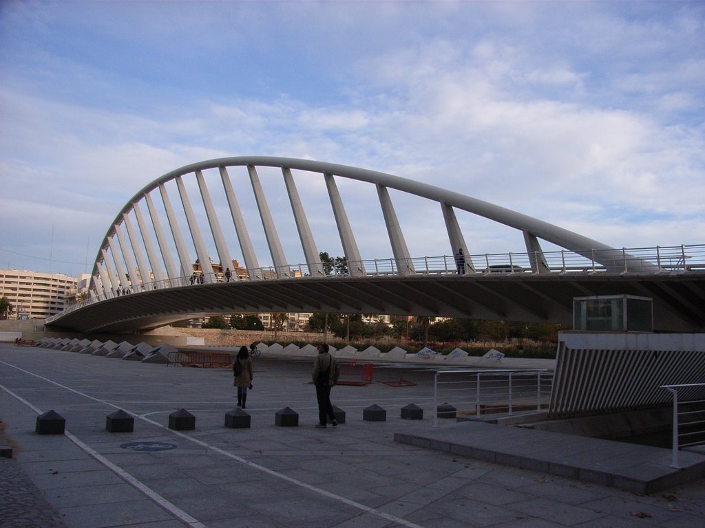 Ponte di Calatrava by alessandro7220