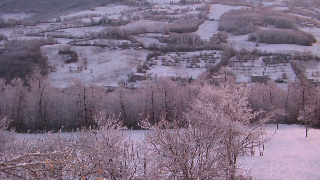 CASTEL DI CASIO BO -FALDO alba rosa 2009 by oscar magelli