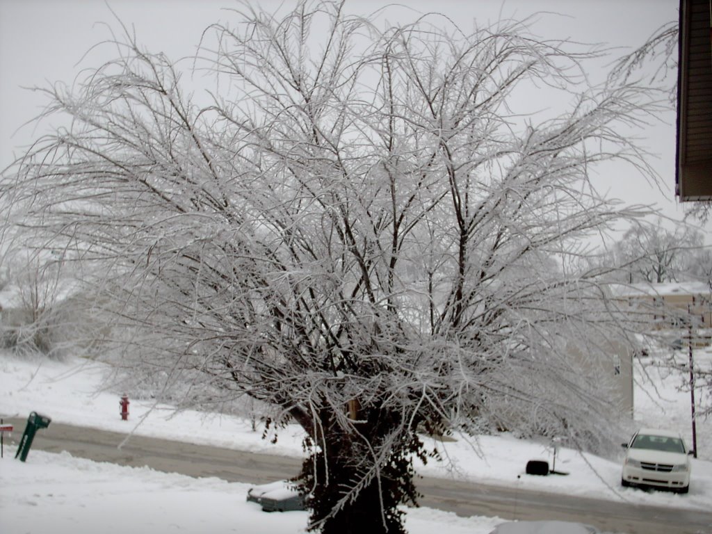 2009 Ice storm in Mt.Sterling, Ky. by vnvetlester