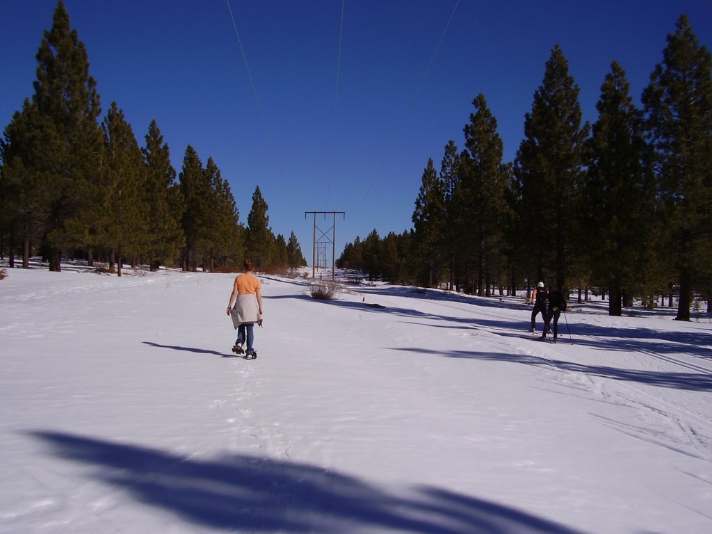 Truckee Donner Cross Country by George Geogriev