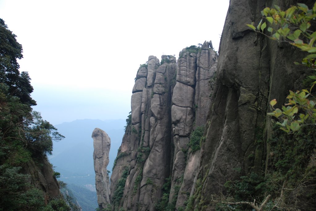 巨蟒出山(World Natural Heritage: Sanqing Mountain Park)-岭南浪人 by 岭南浪人