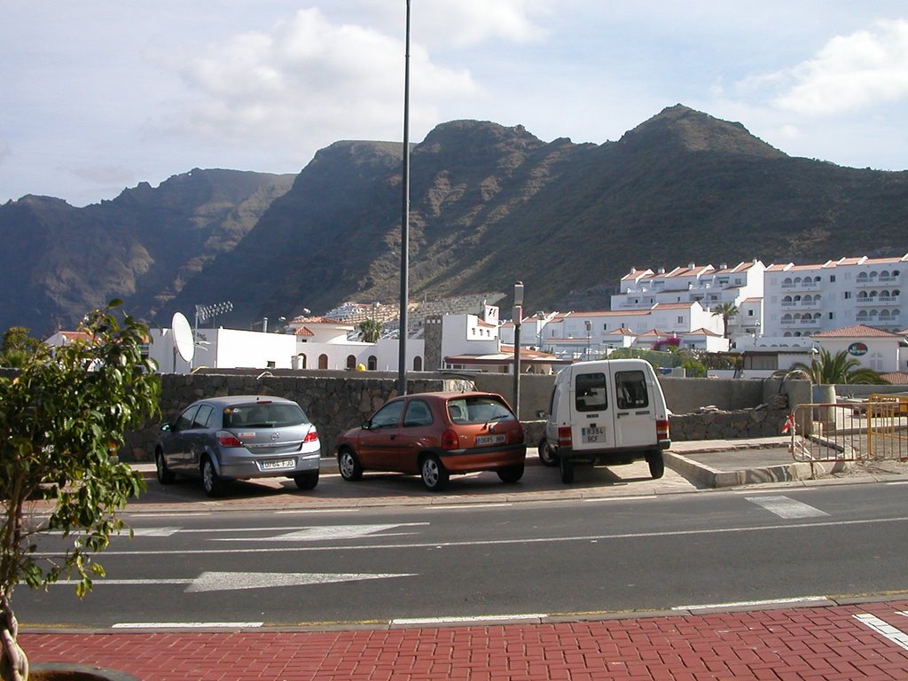 View of Los Gigantes by hamtpa