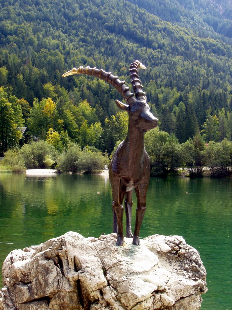 Steinbock mit goldenen Hörnern by Kloiner