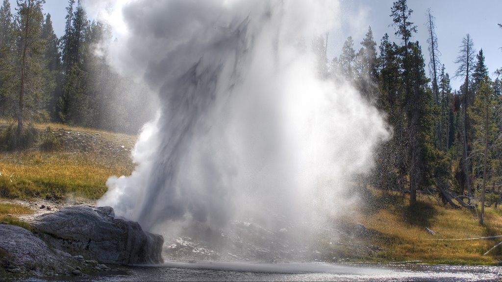 Riverside Geyser by frischi1