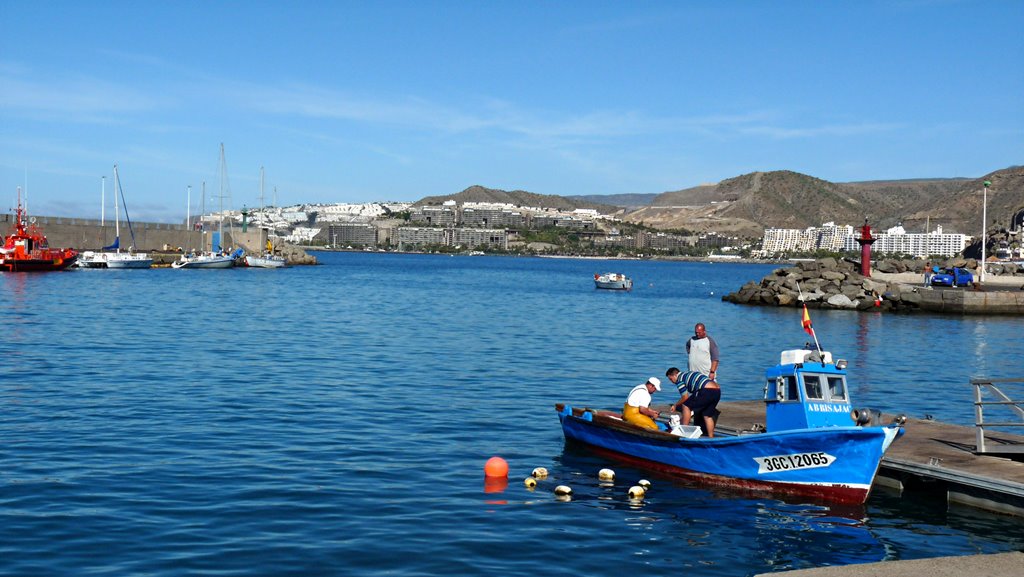 View from Arguineguin Harbour by Tor M. Krogstad