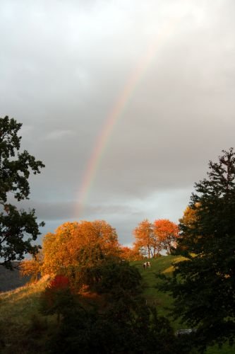 Regenbogen bei Sonderbach by bjoern12