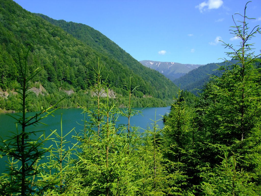 Lacul de baraj Rausor by Estrela Avramovici