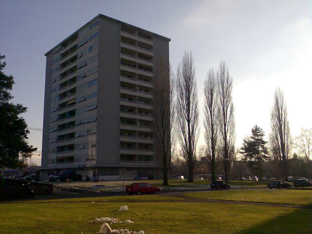 Vue sur le parc, à gauche 25.01.09 by Roufonik