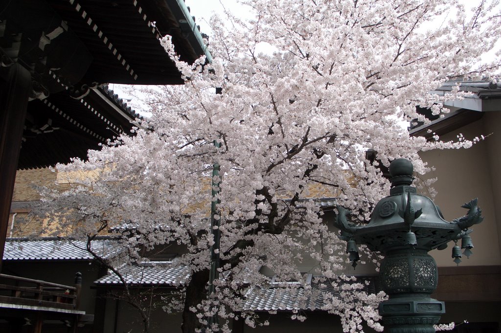 Yuuseiji-Temple　宥清寺 by kyoto_van