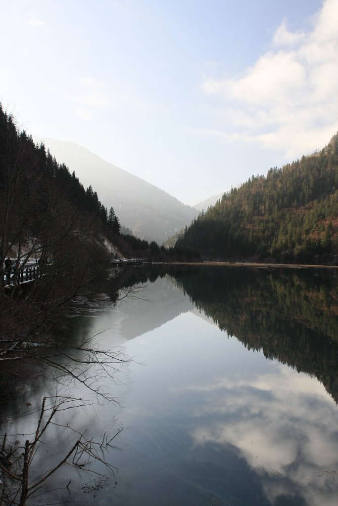 Glaring Arrow Bamboo Lake at JiuZhaiGou by Faintlightofdawn