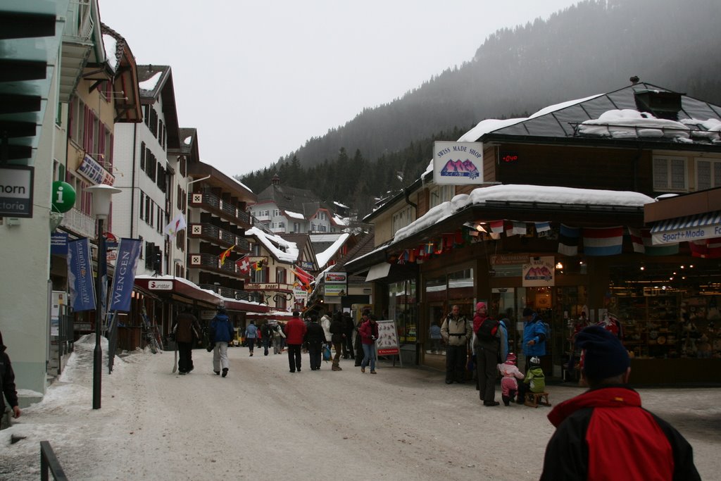 Wengen, 3823, Switzerland by Michal Gorski