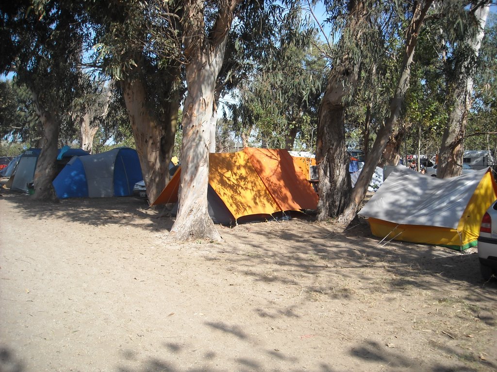 Camping Estancia el Carmen - Santa Teresita by Silvio Russo