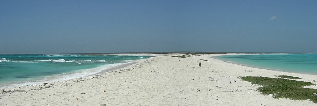 Isla La Tortuga - Cayo Herradura - Punta Sur by carlo bianco