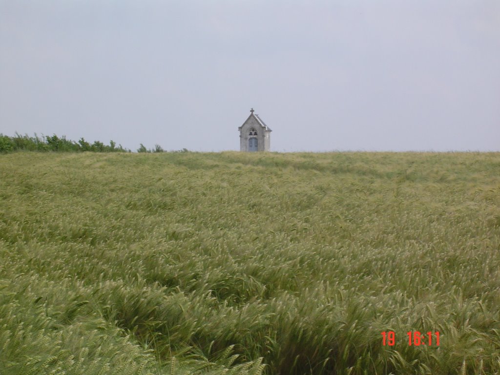 Chapelle dans les blés by adant