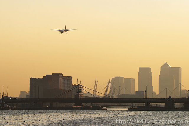 Regional airliner landing at London City Airport by Greg Bajor