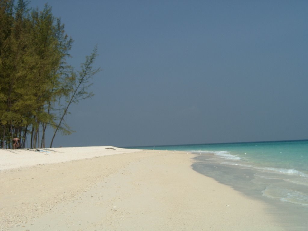 BAMBOO island by garbul