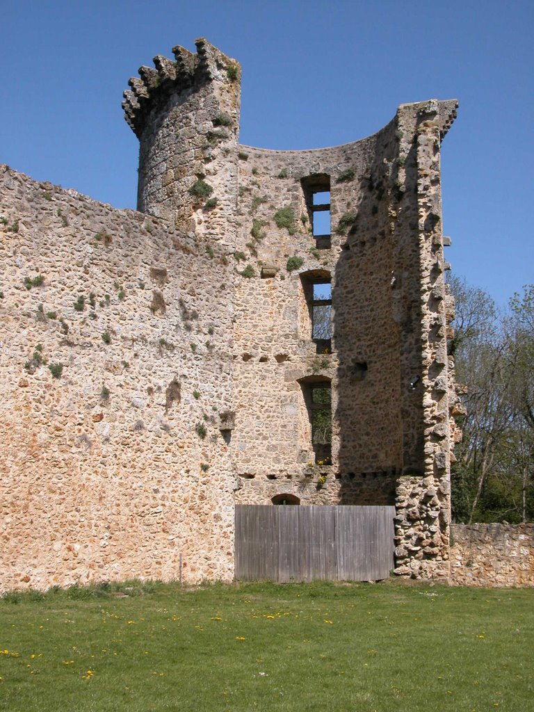 Chevreuse ; La Madeleine ; Tour Nord Est [24/04/04] by Pascal Saint-Lot