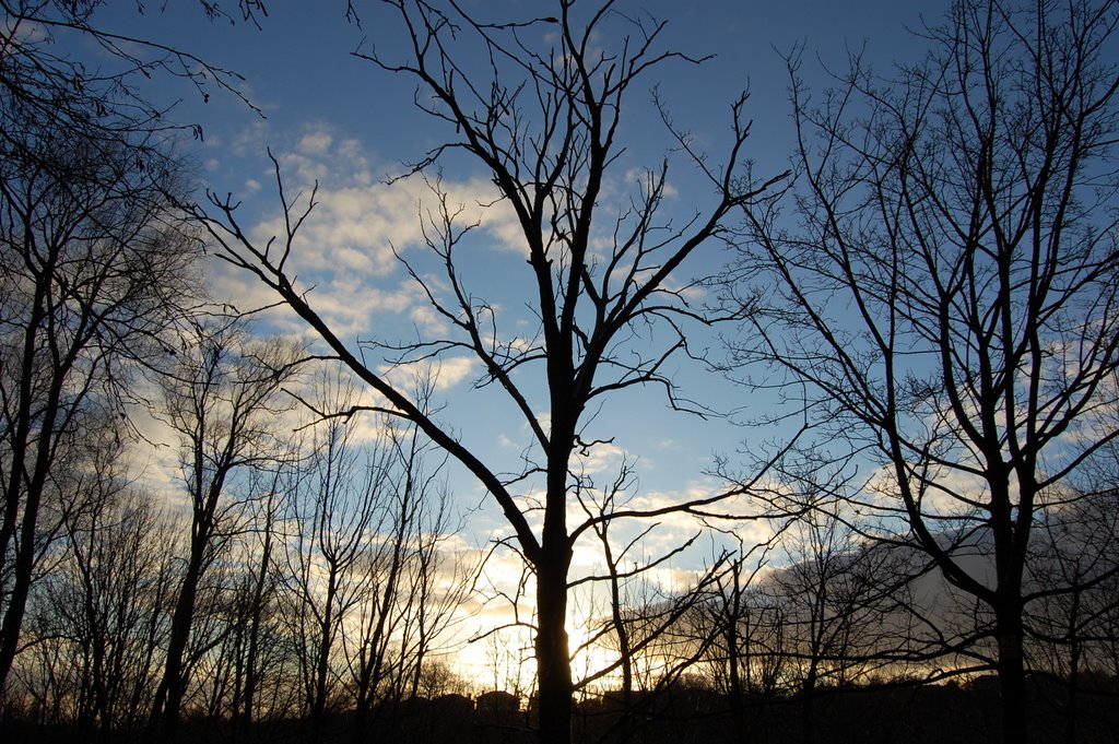 Sunset from healey dell by niccin